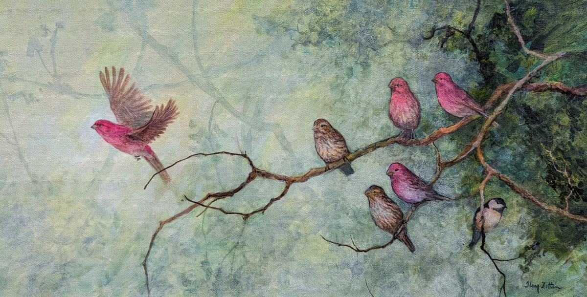 Purple Finches and a Chickadee by Floy Zittin 