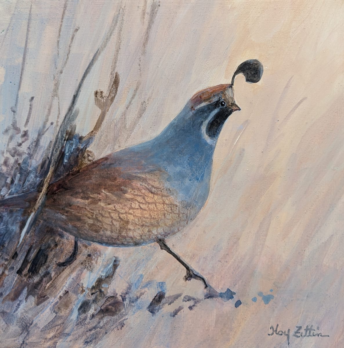 Quail Running Through Grass by Floy Zittin 