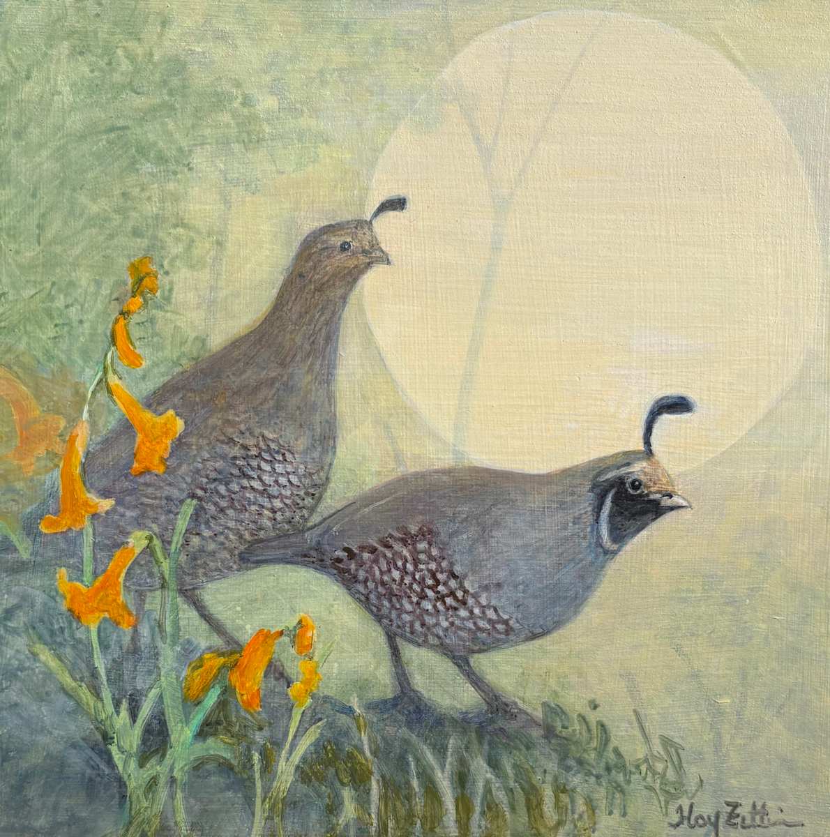 Quail Study by Floy Zittin, Image 1.