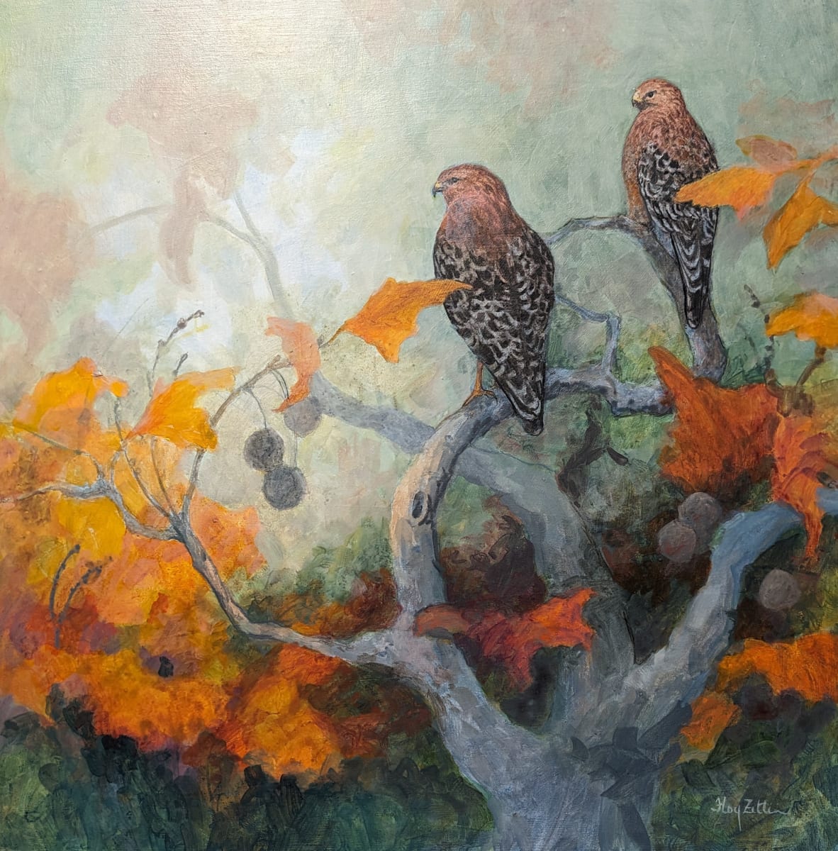 Red-shouldered Hawk Pair by Floy Zittin, Image 1.