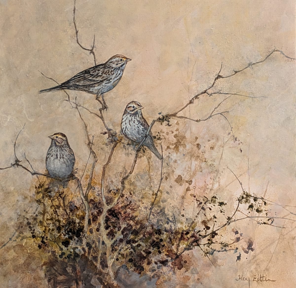 Savannah Sparrows by Floy Zittin 