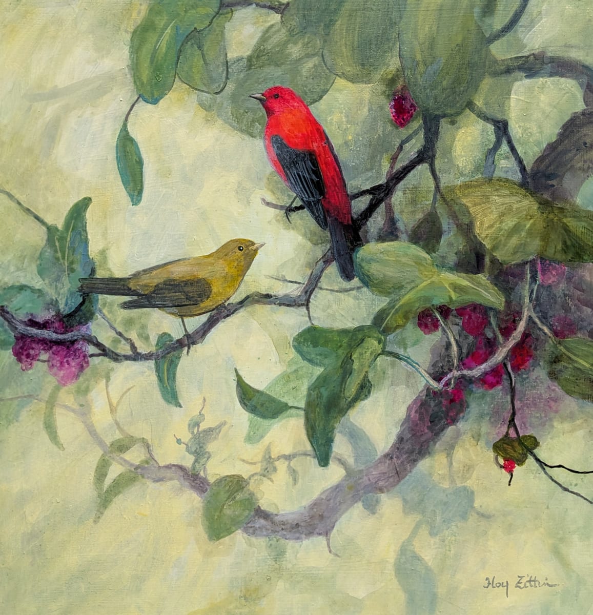 Scarlet Tanagers by Floy Zittin 