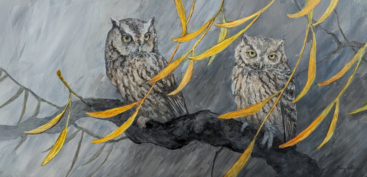 Screech Owls by Floy Zittin 