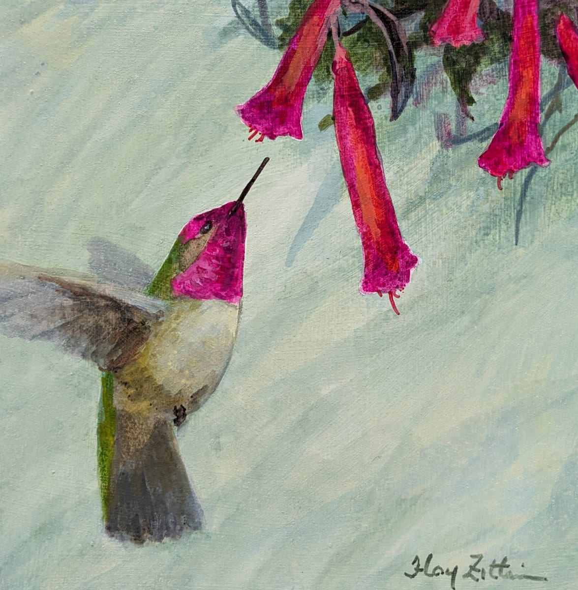 Anna's Hummingbird by Floy Zittin 