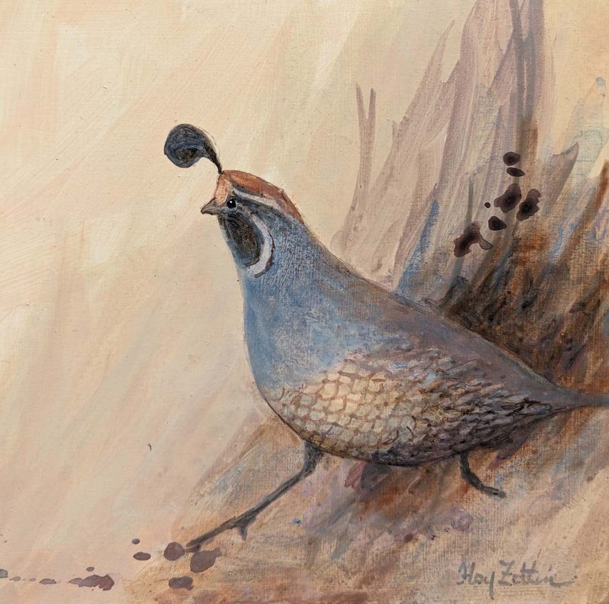 Quail Running by Floy Zittin 