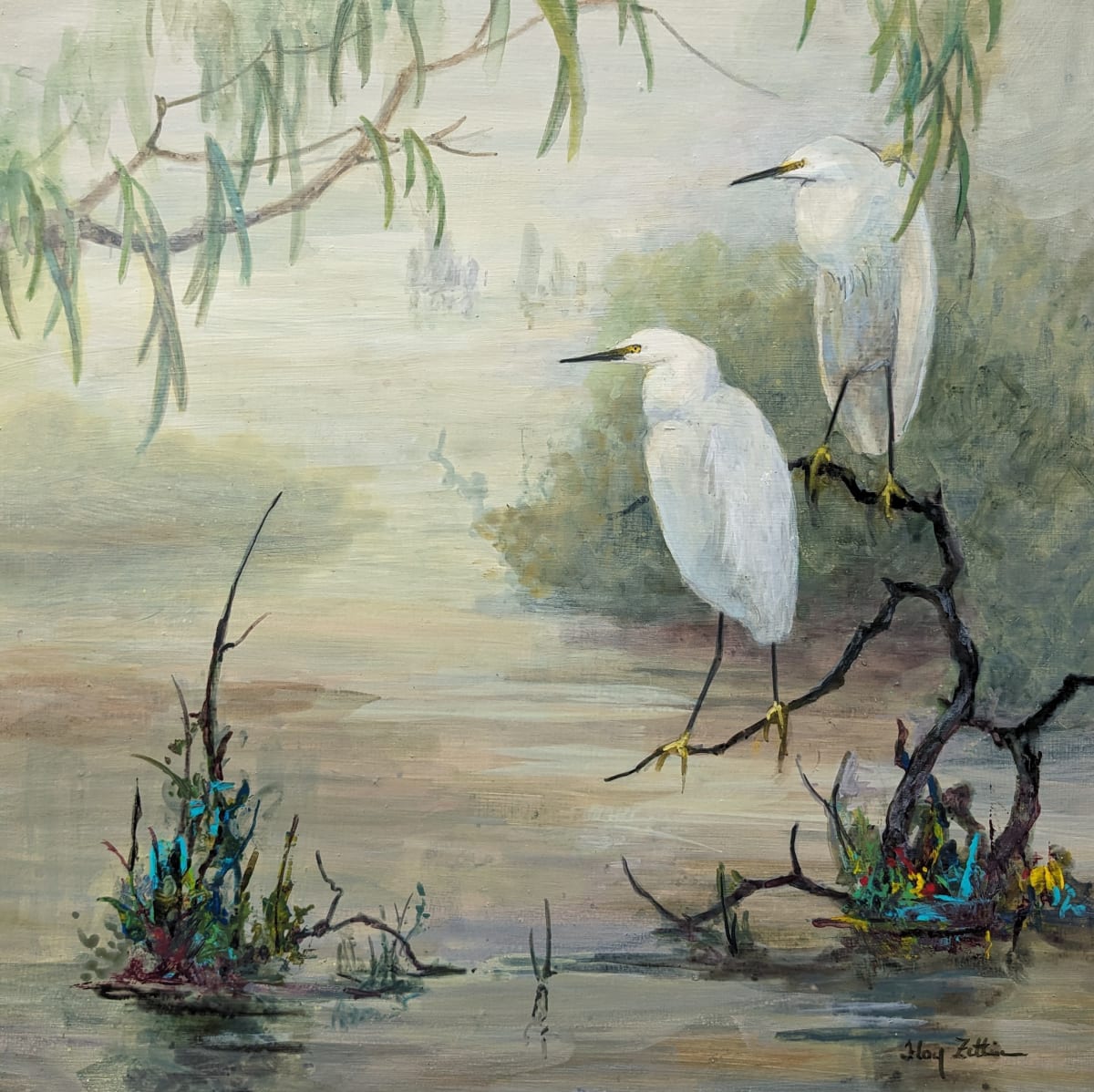 Snowy Egrets in Wetlands by Floy Zittin 