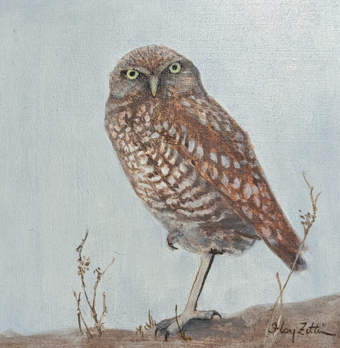 Tiny Burrowing Owl by Floy Zittin, Image 1.