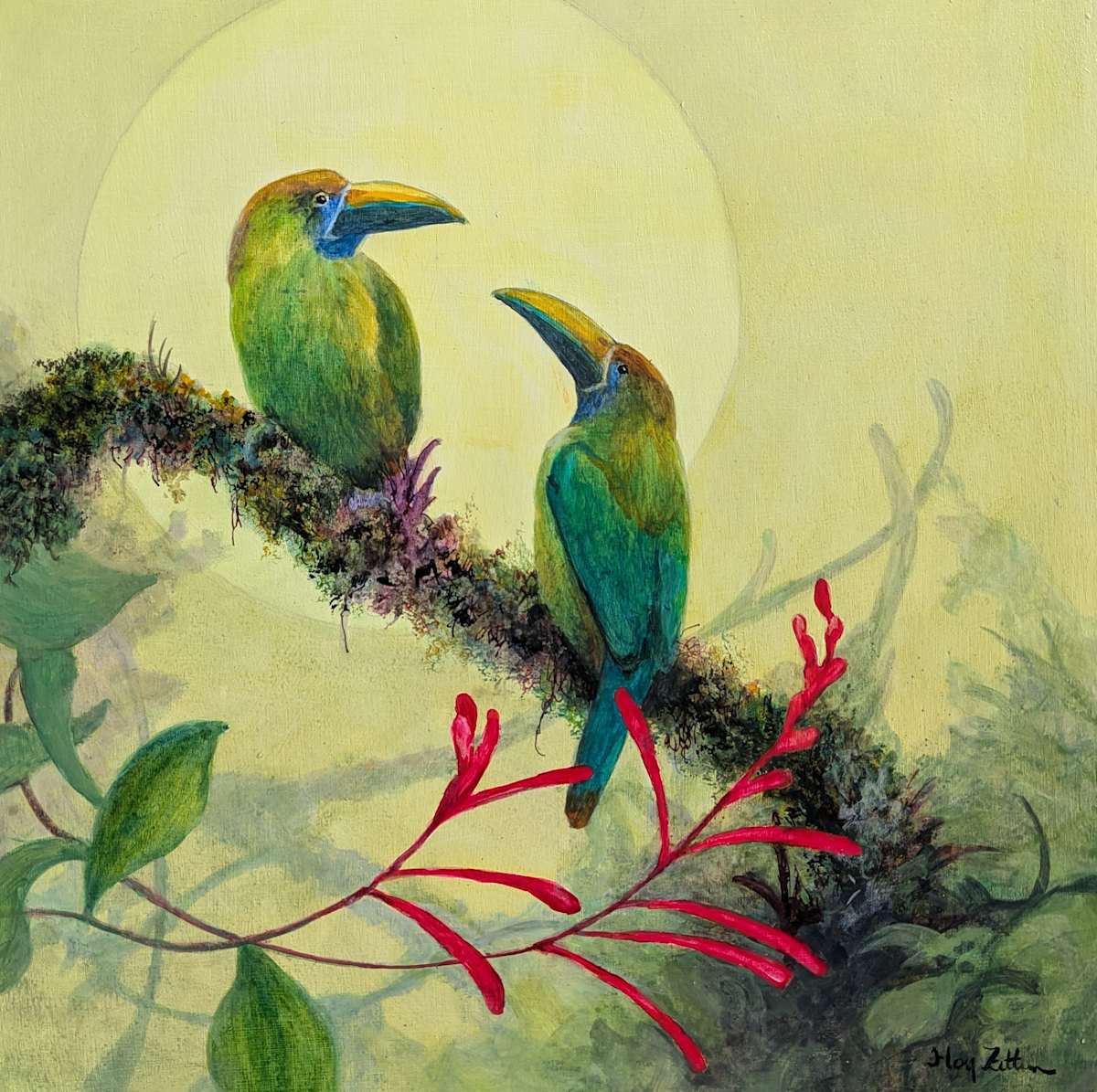 Toucanet Pair by Floy Zittin, Image 1.