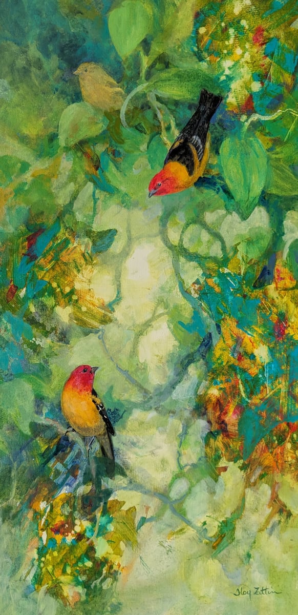 Western Tanagers by Floy Zittin 