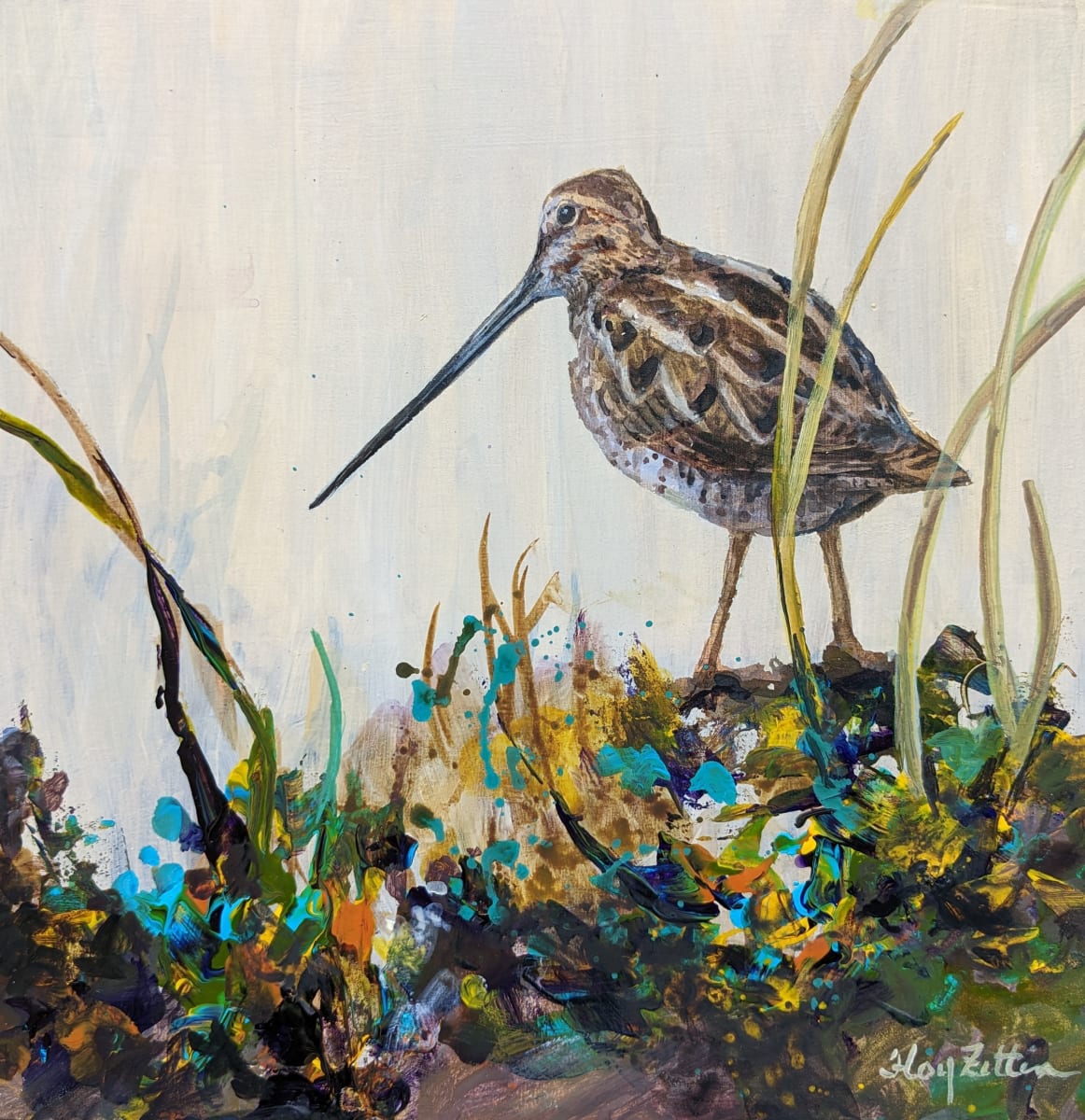 Wilson's Snipe by Floy Zittin 