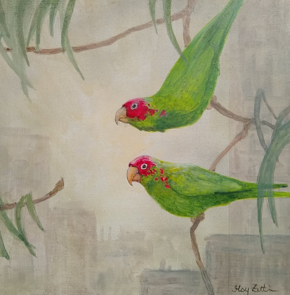 Urban Parrots by Floy Zittin 