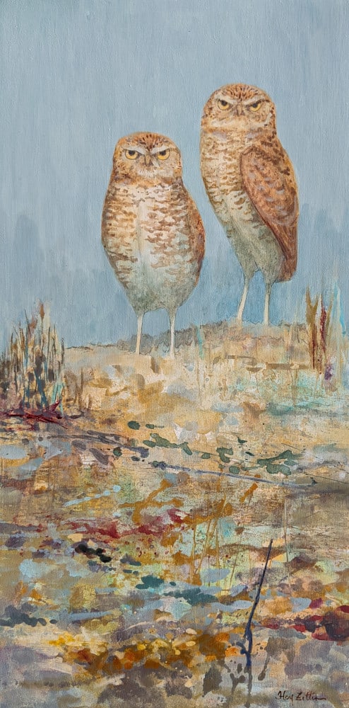 Burrowing Owl Pair by Floy Zittin 