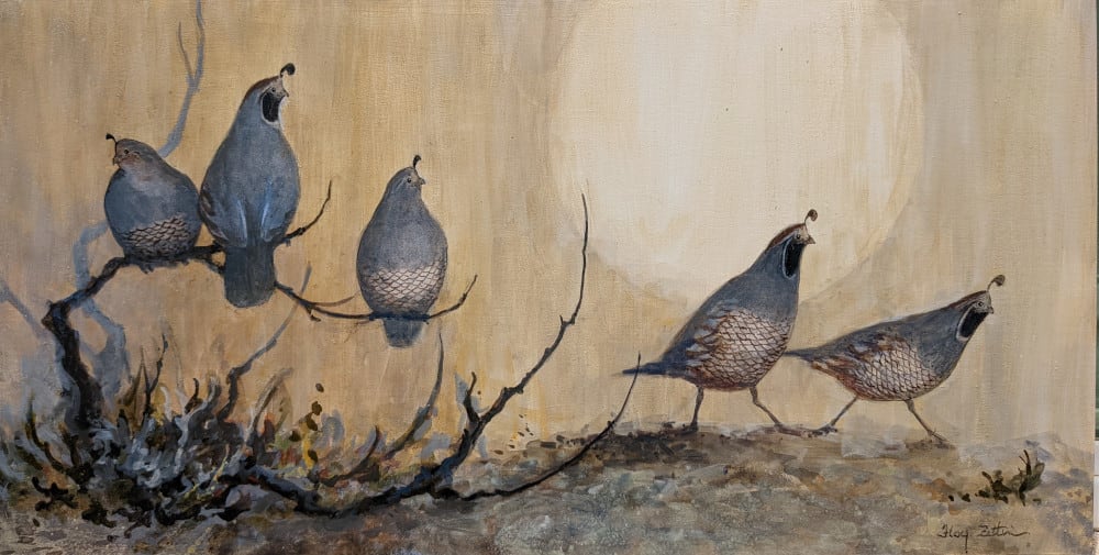 Covey of Quail Roadside by Floy Zittin 