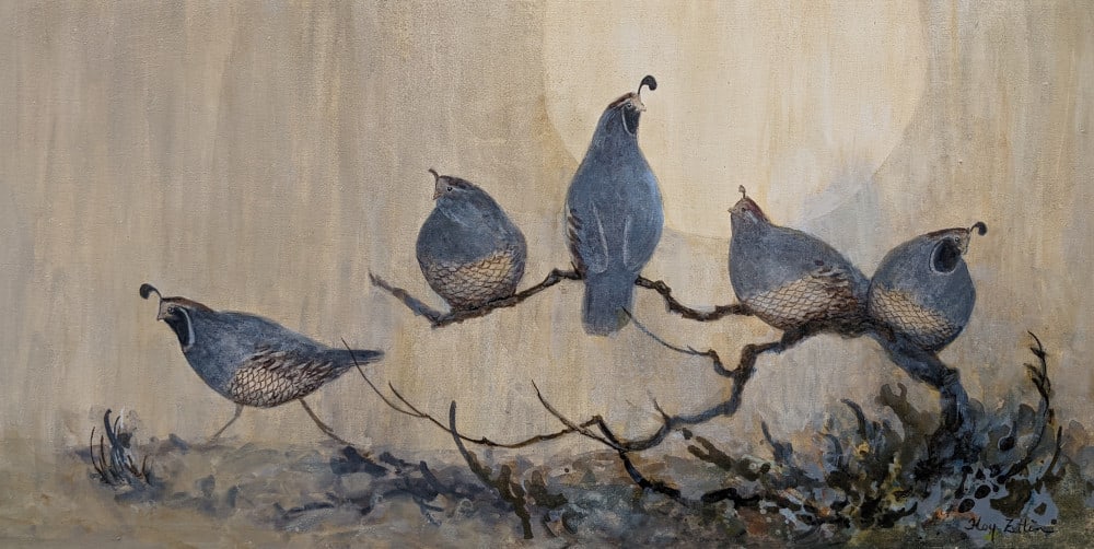 Covey of Quail Roadside #2 by Floy Zittin 