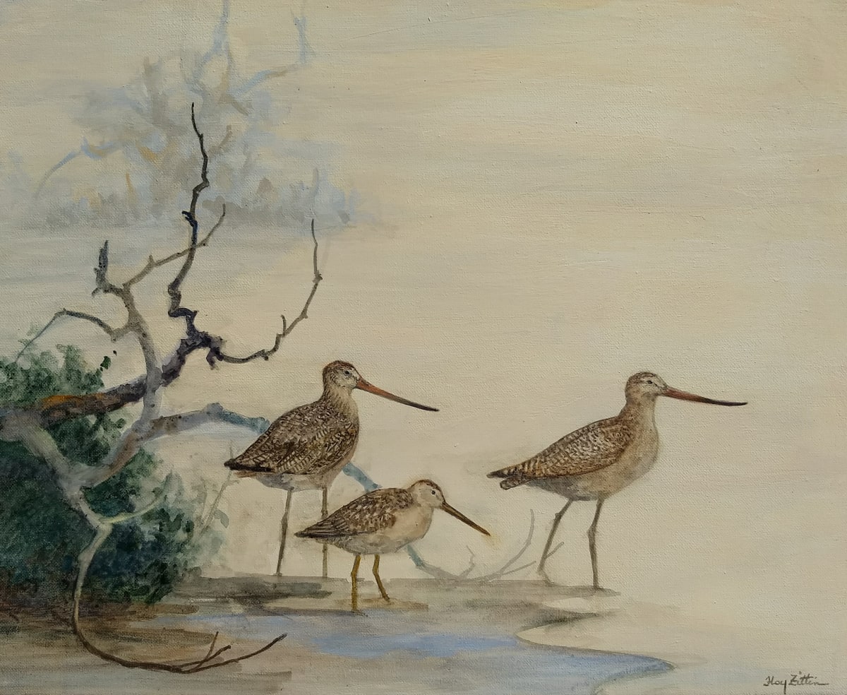 Dowitcher and Godwits by Floy Zittin 