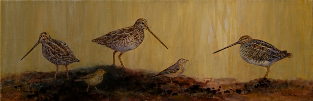 Snipe and Pipits by Floy Zittin 