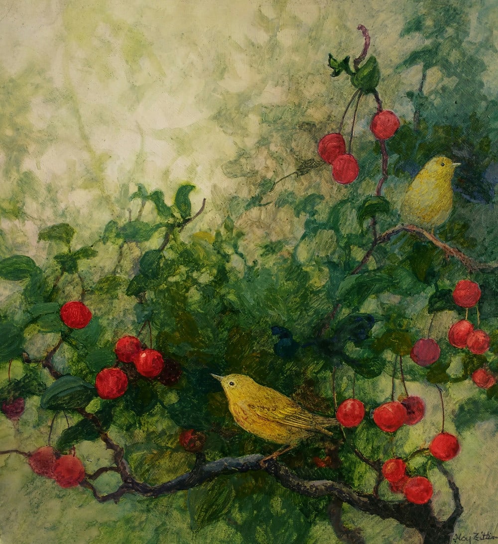 Yellow Warblers and Cherries by Floy Zittin 