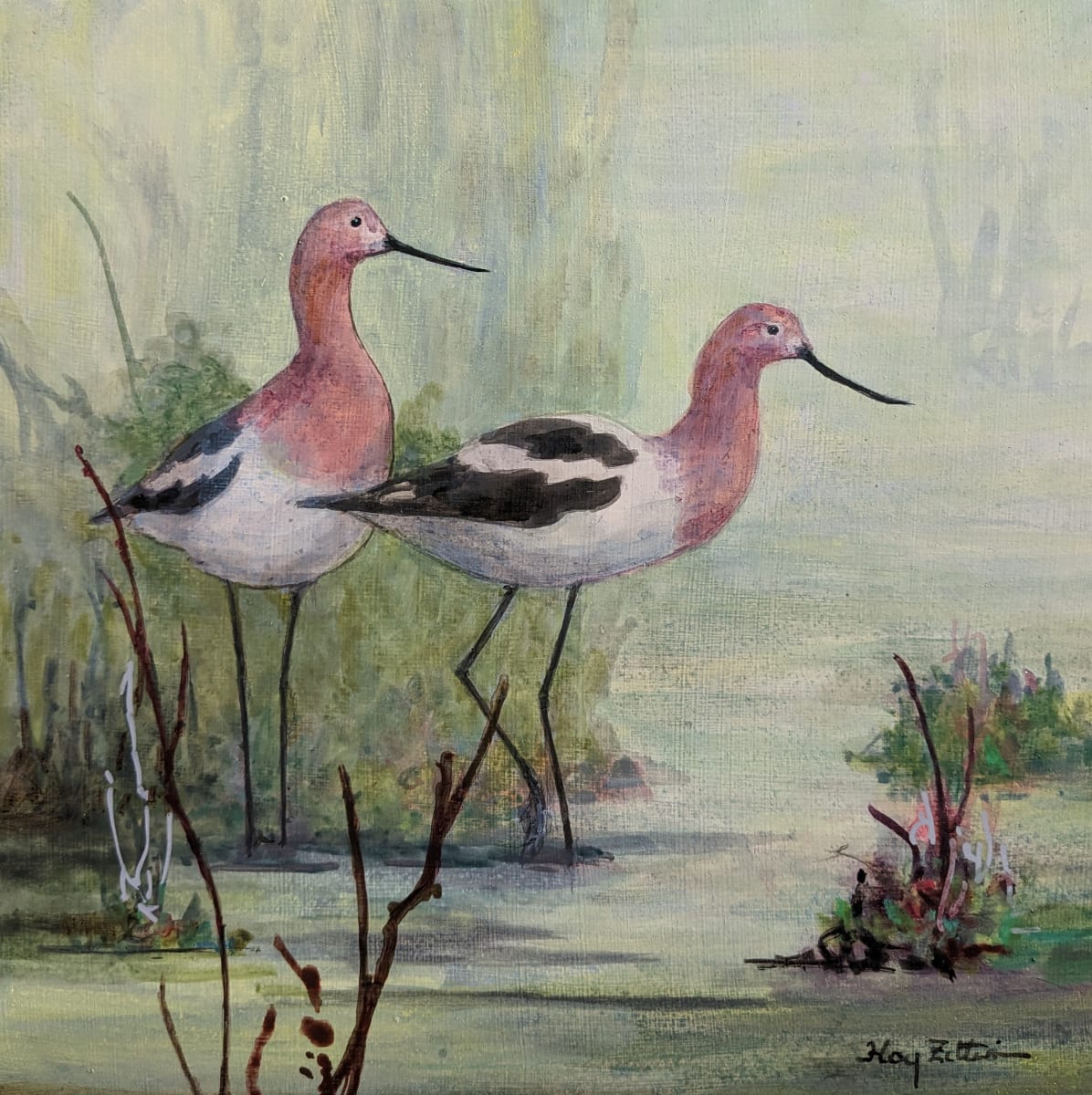 Avocets by Floy Zittin 