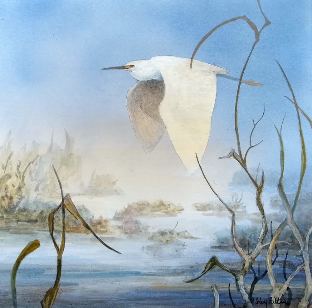 Egret Peace by Floy Zittin 