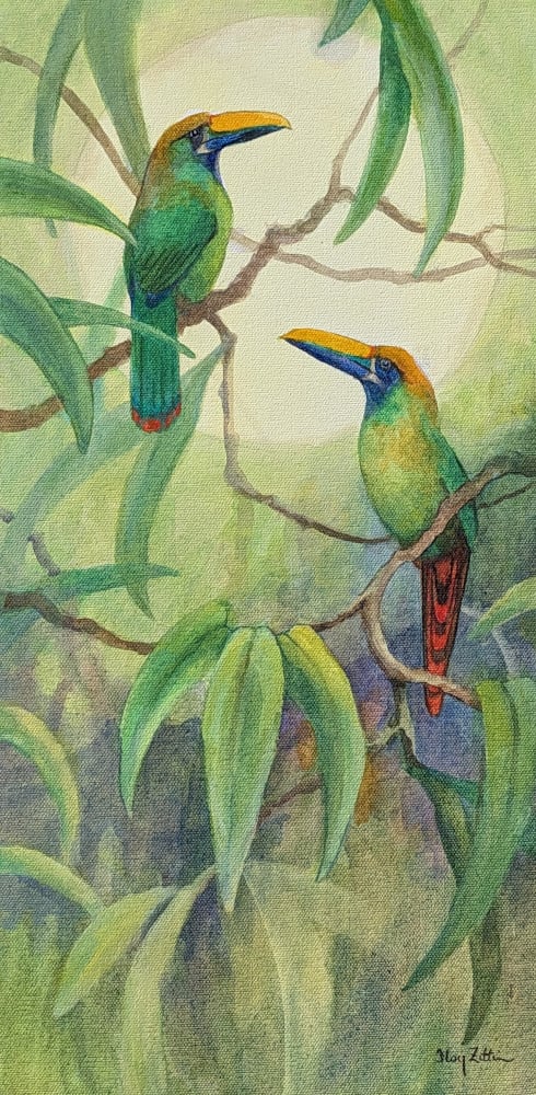 Southern Emerald-Toucanet by Floy Zittin, Image 1.