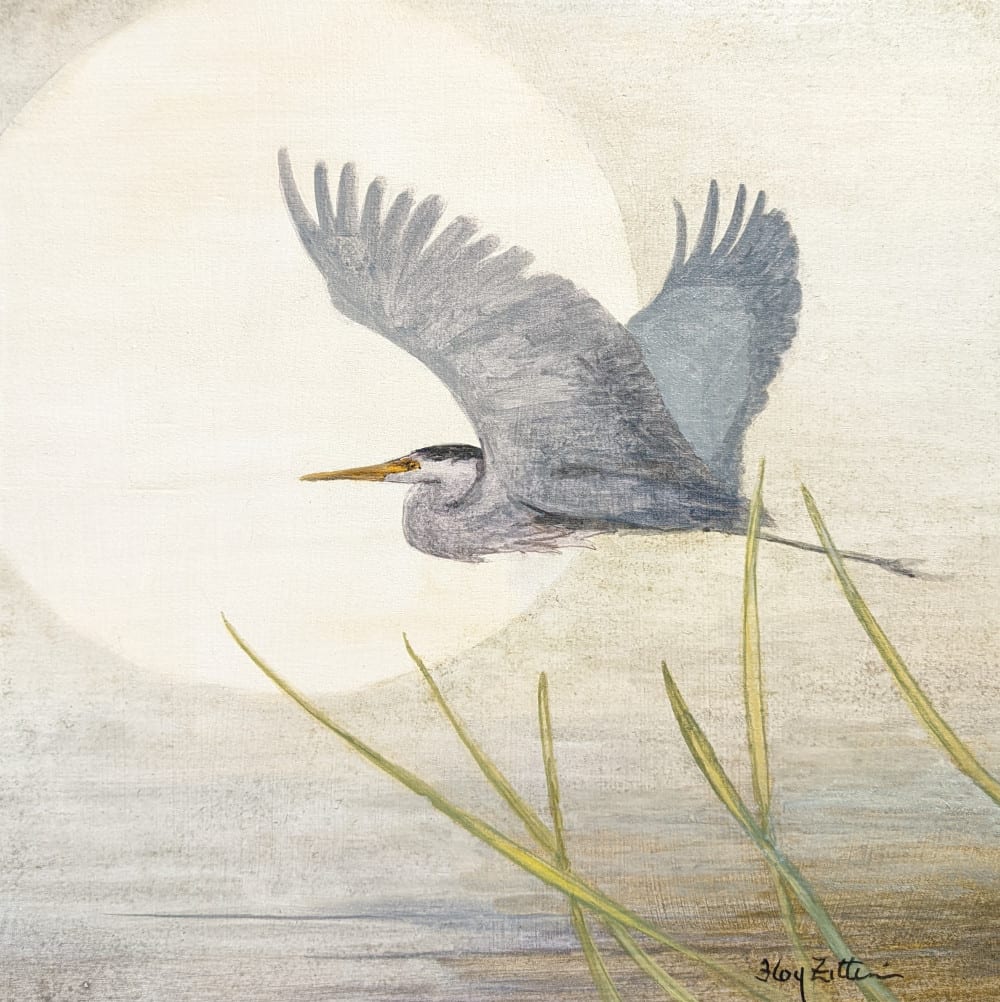 Heron Flight by Floy Zittin 