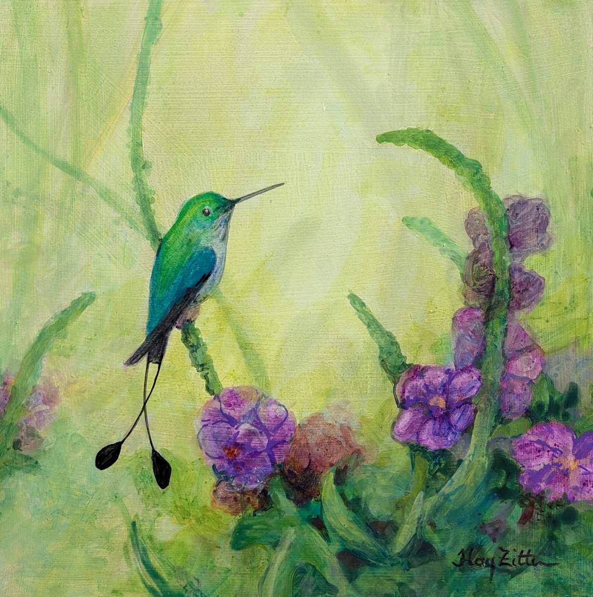 Rufous-booted Racket-tail by Floy Zittin 