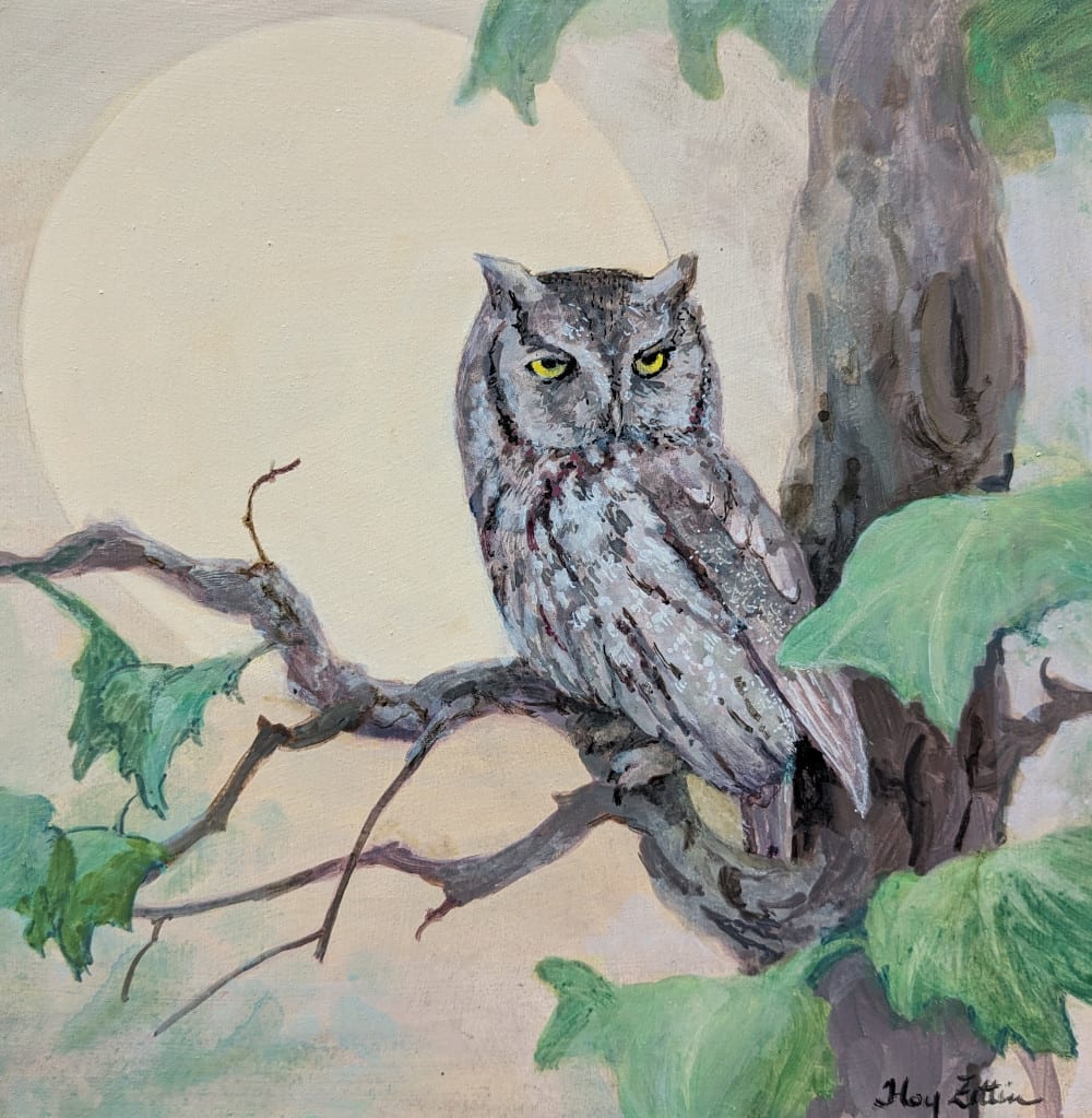 Screech Owl and Moon by Floy Zittin 