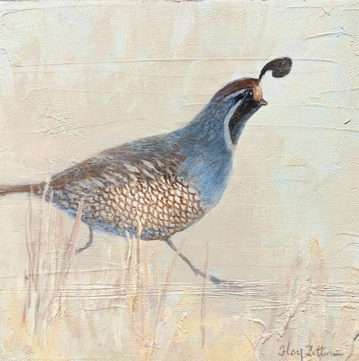 Small Quail by Floy Zittin, Image 1.