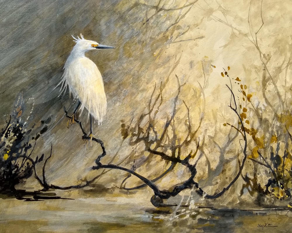 Snowy Egret by Floy Zittin 