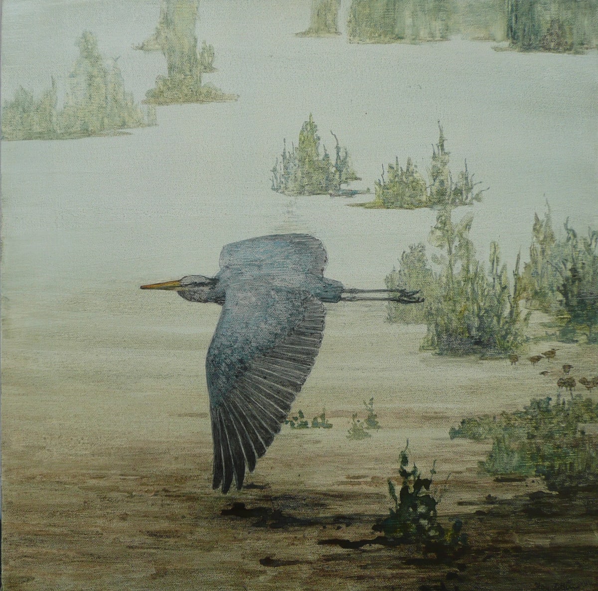 Gliding over a Marsh by Floy Zittin 