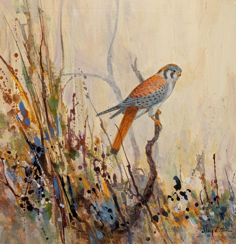 Kestrel Splash by Floy Zittin, Image 1.