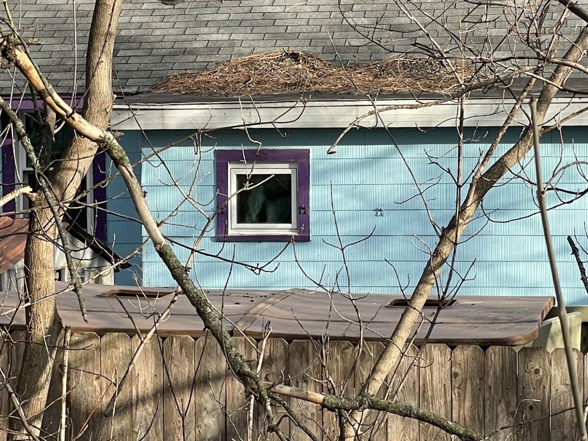 Purple Framed Window by Anat Ambar 