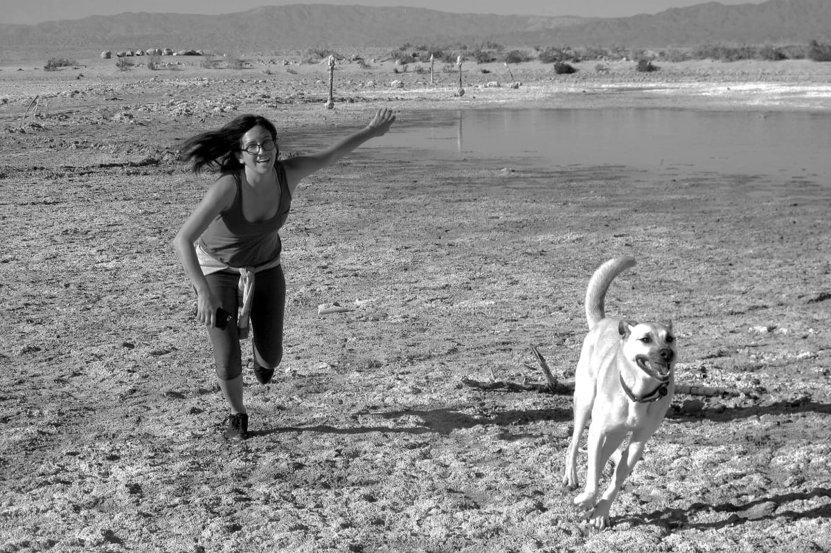 Chasing Jul by Anat Ambar 
