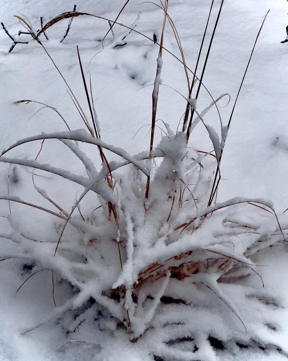 Snow cover by Anat Ambar 