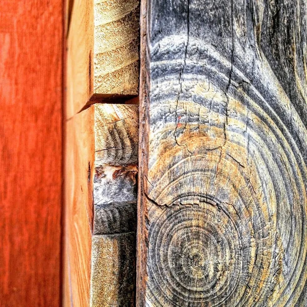 Colored Wood by Anat Ambar 