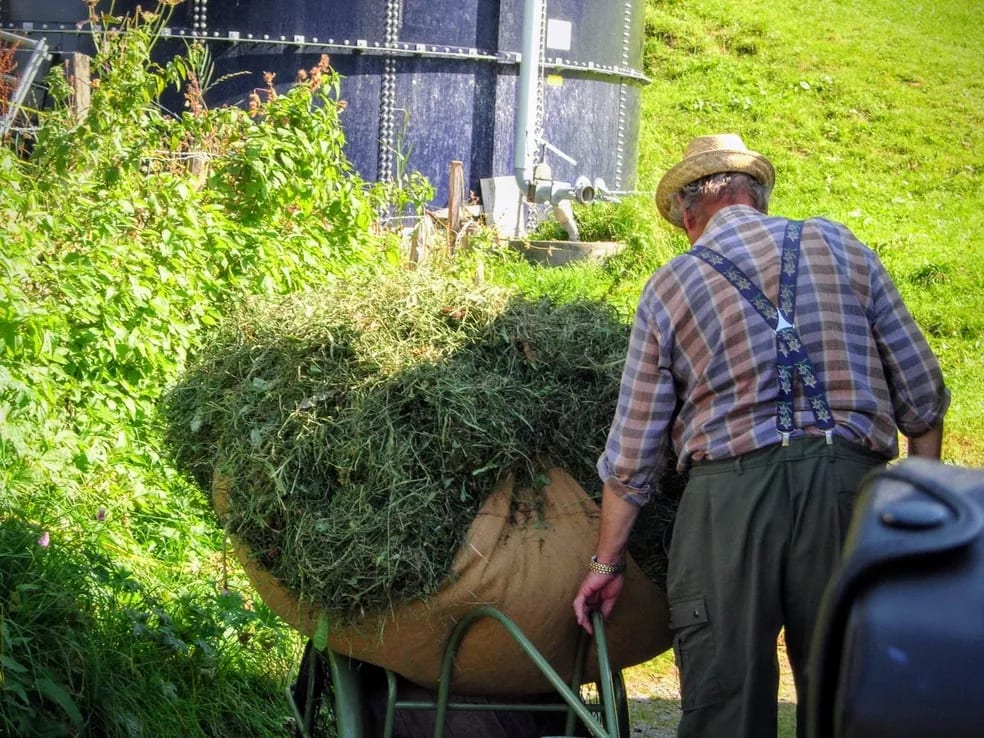 The farmer by Anat Ambar 