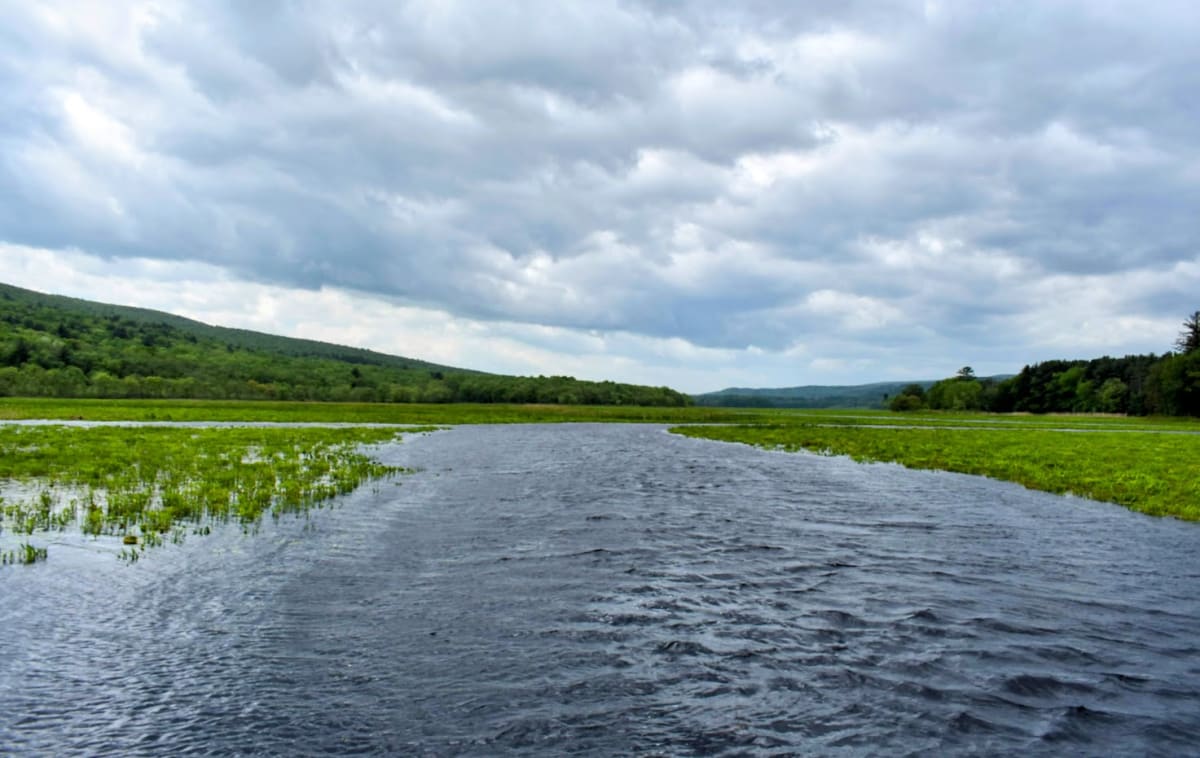 Stream by Anat Ambar 