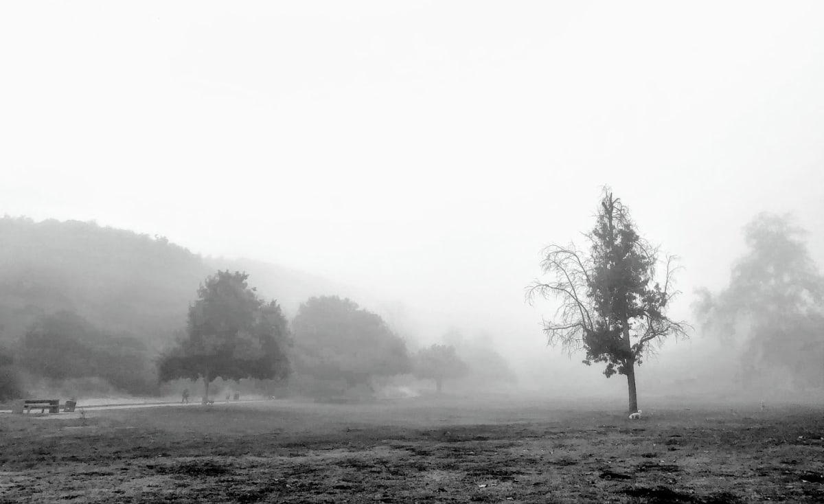 Foggy Day by Anat Ambar 