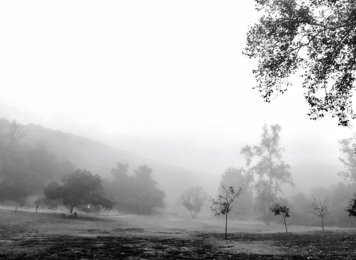 Park in Fog by Anat Ambar 