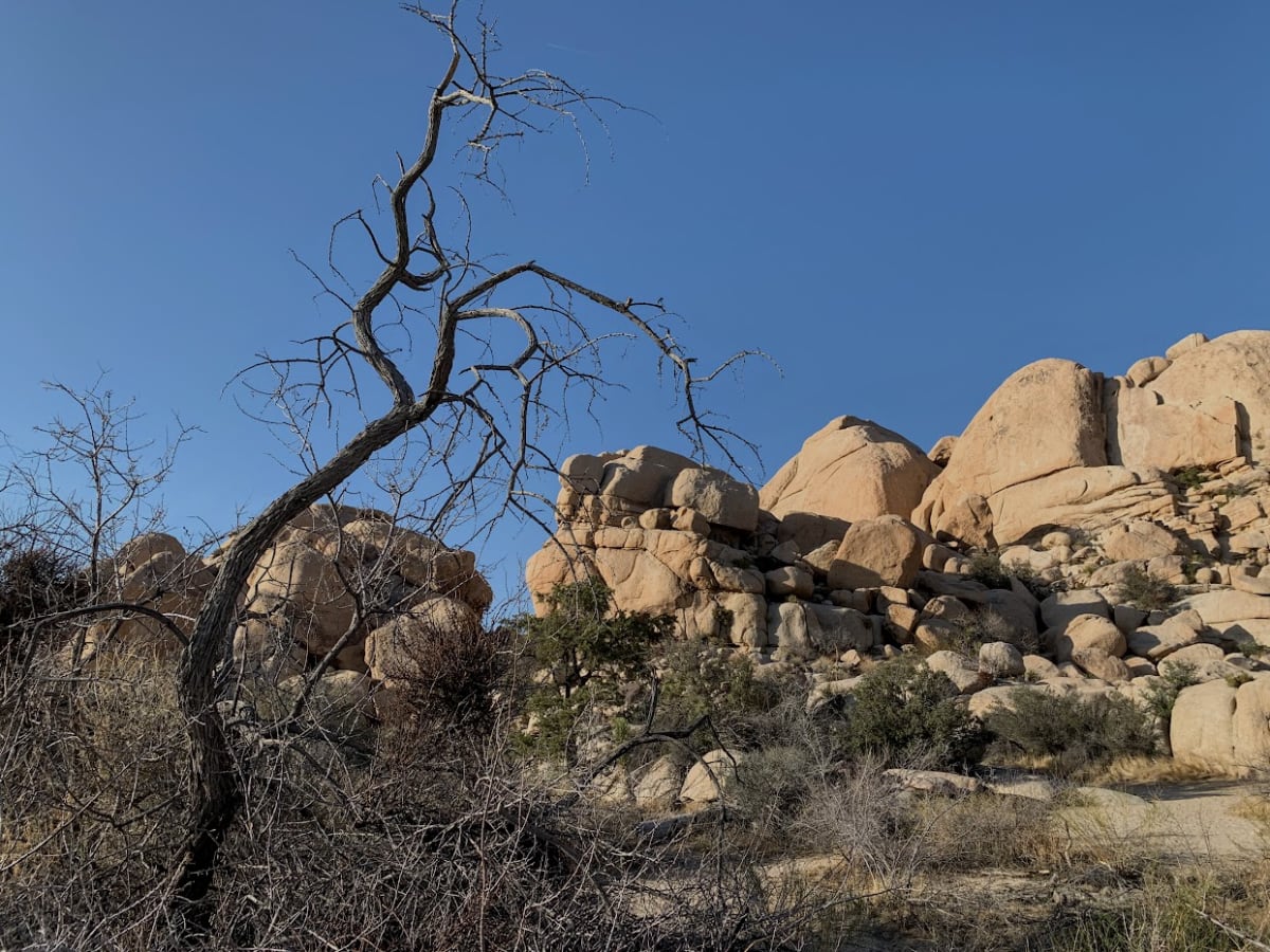 Desert Landscape by Anat Ambar 