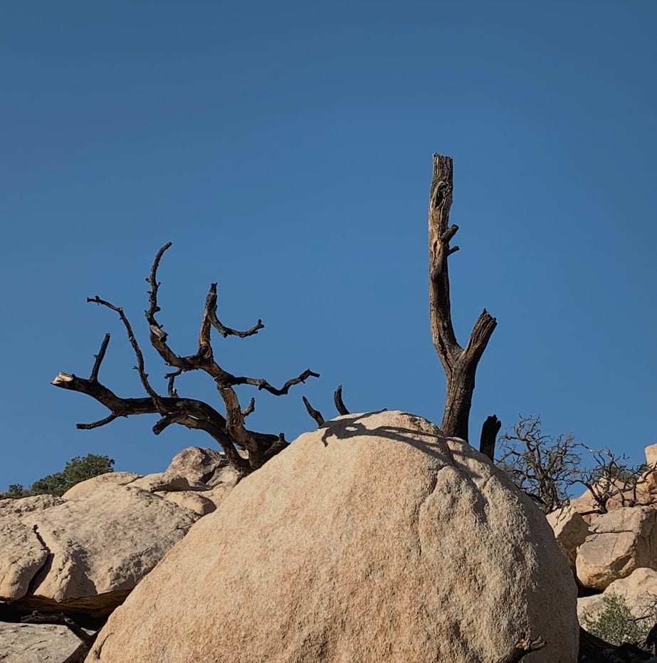 Desert Landscape by Anat Ambar 