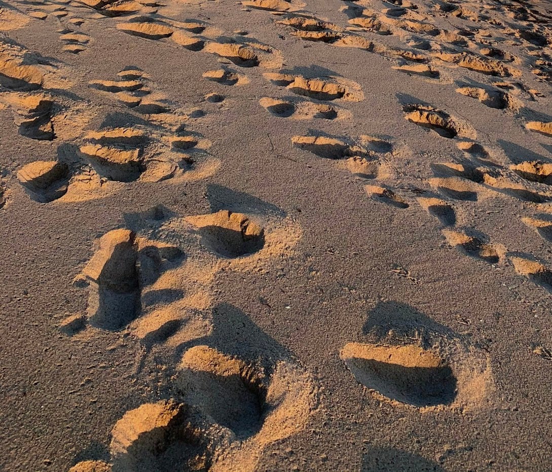 Foot Prints by Anat Ambar 