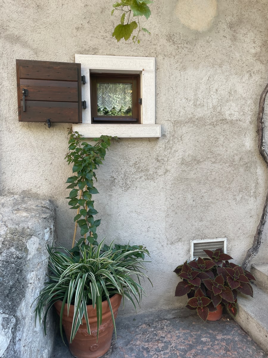 Window by Anat Ambar 