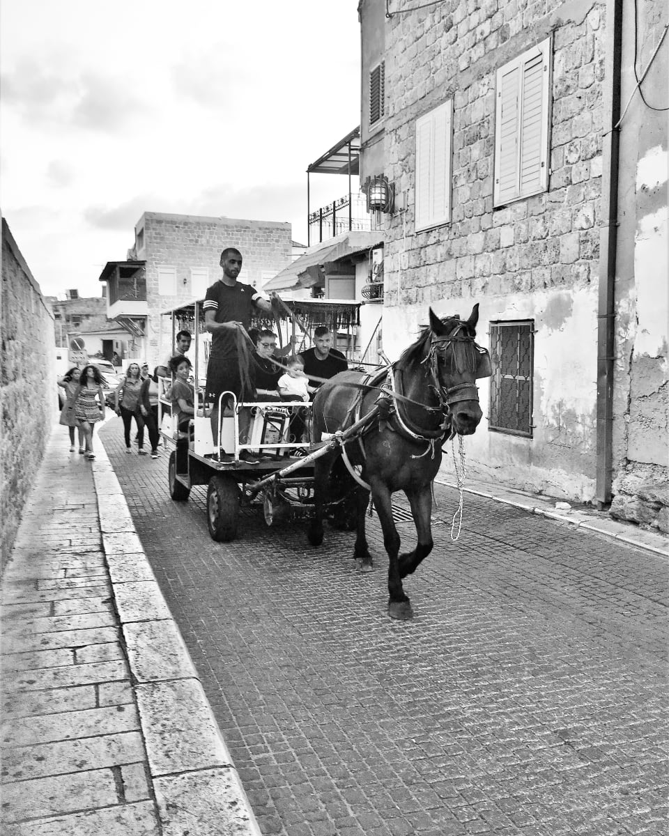 Horse Carriege Ride by Anat Ambar 