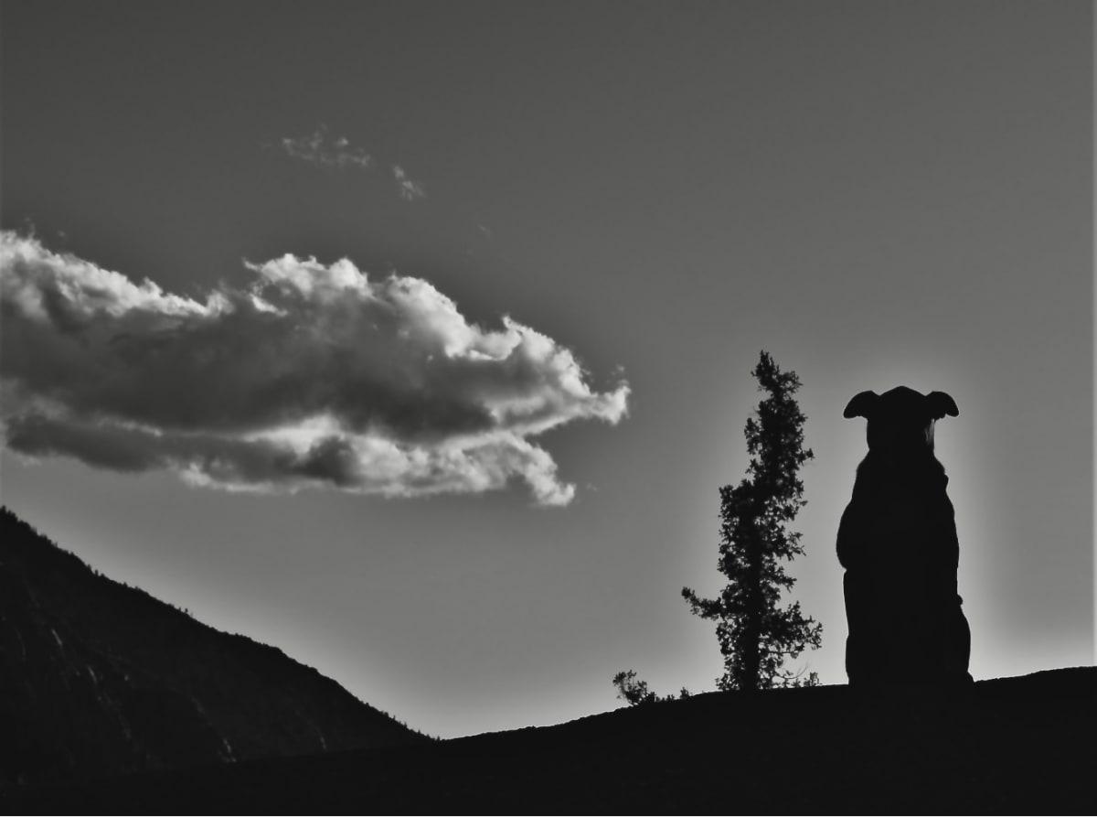 Silhouette by Anat Ambar 