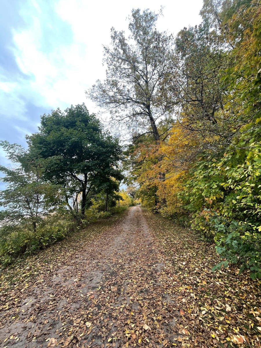 Trail in Autumn by Anat Ambar 