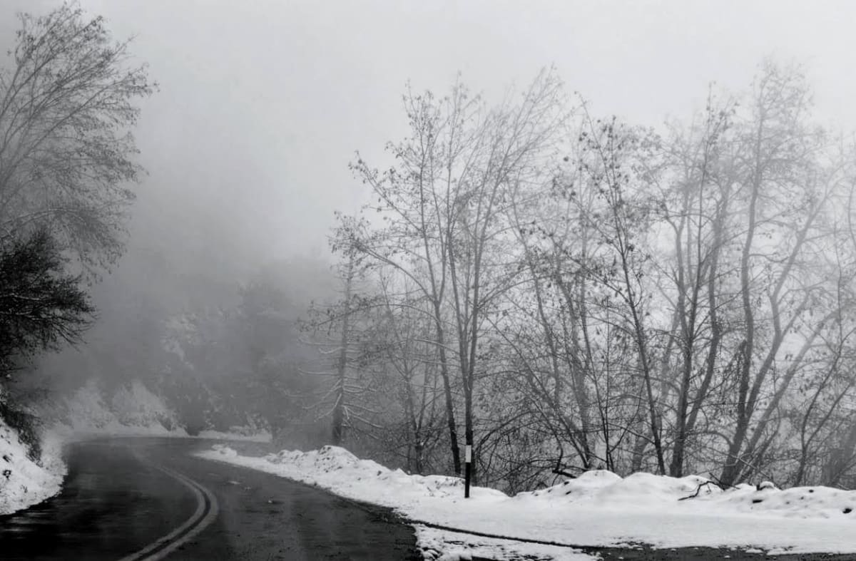 Winter Travel by Anat Ambar 