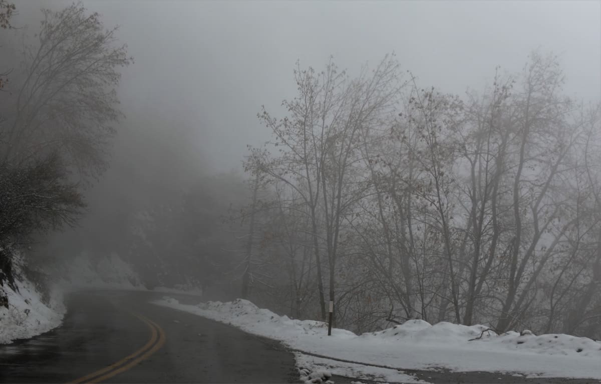 Foggy Day by Anat Ambar 