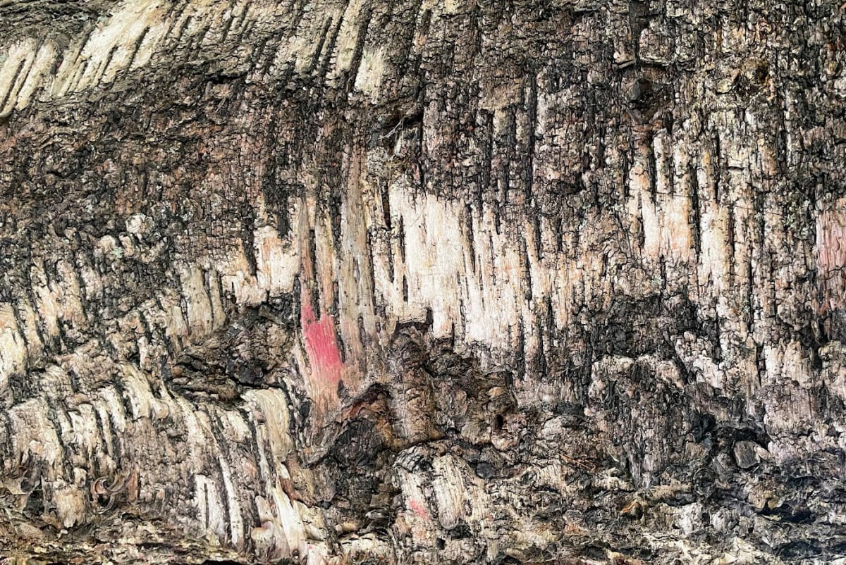 Texture and Red by Anat Ambar 