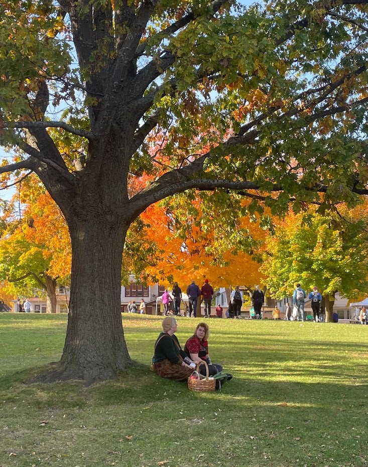 Under the Tree by Anat Ambar 